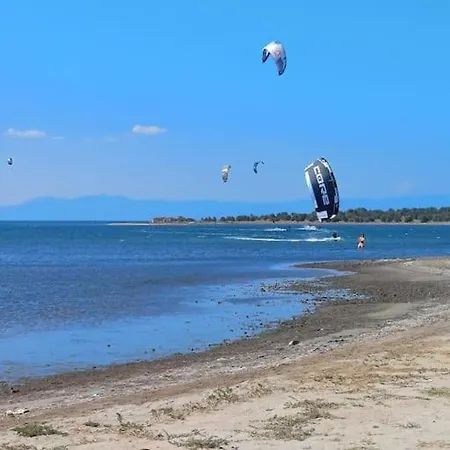 Pamuk Teras Kati *