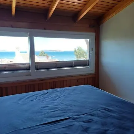 Pamuk Teras Katı Daire