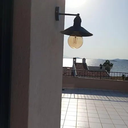Pamuk Teras Kati