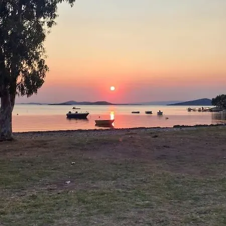 Daire Pamuk Teras Katı Sakarya (Aegean)