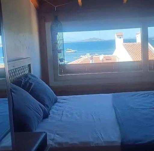 Pamuk Teras Kati * Sakarya (Aegean)